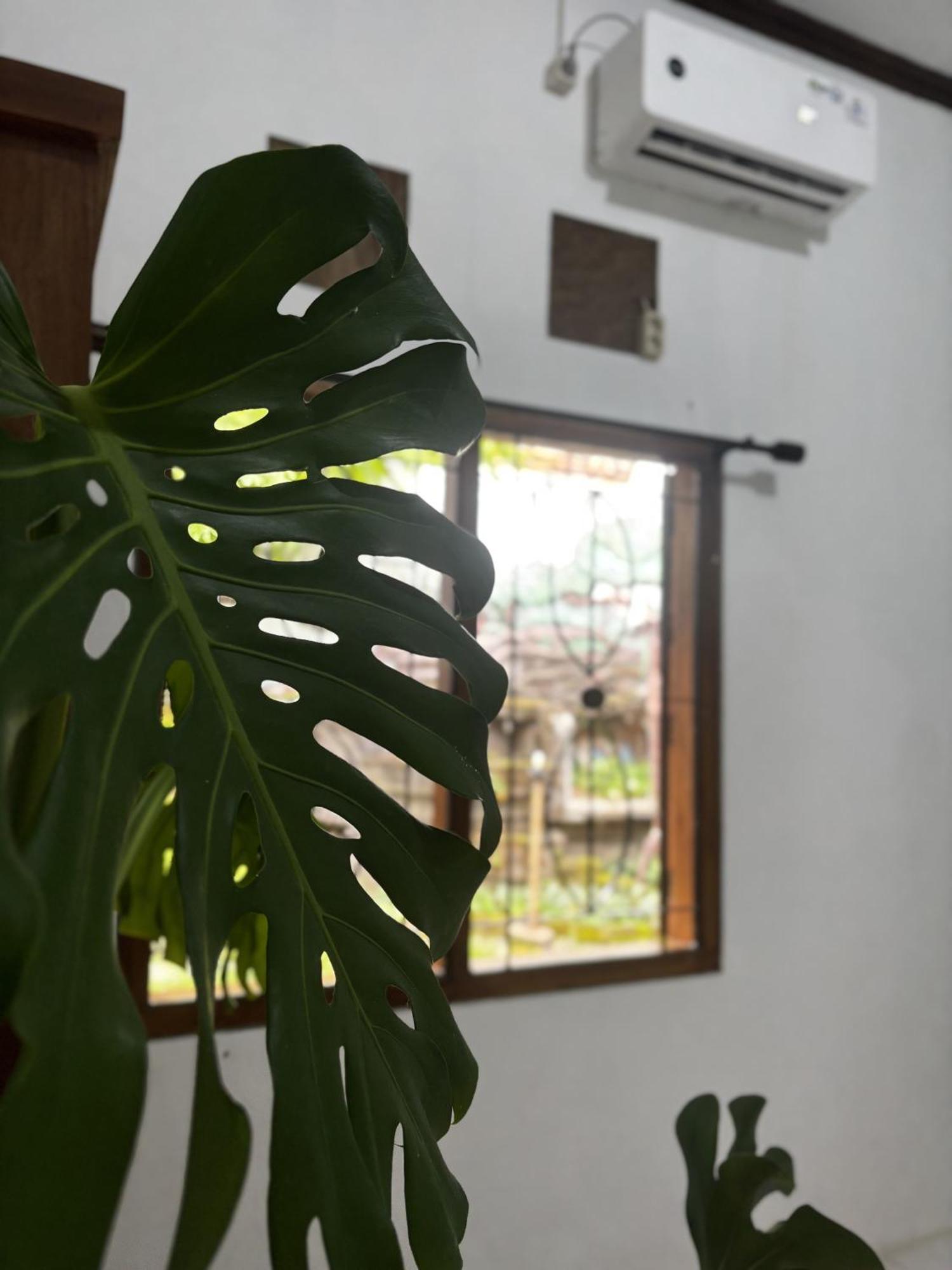 Zzz Hostel Ijen Banyuwangi  Bagian luar foto